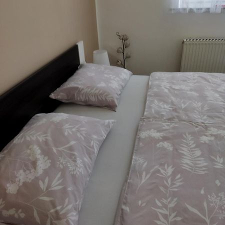 Apartma Jerman - Cerknica Eksteriør billede