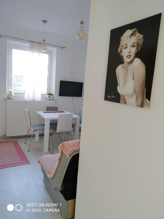 Apartma Jerman - Cerknica Eksteriør billede