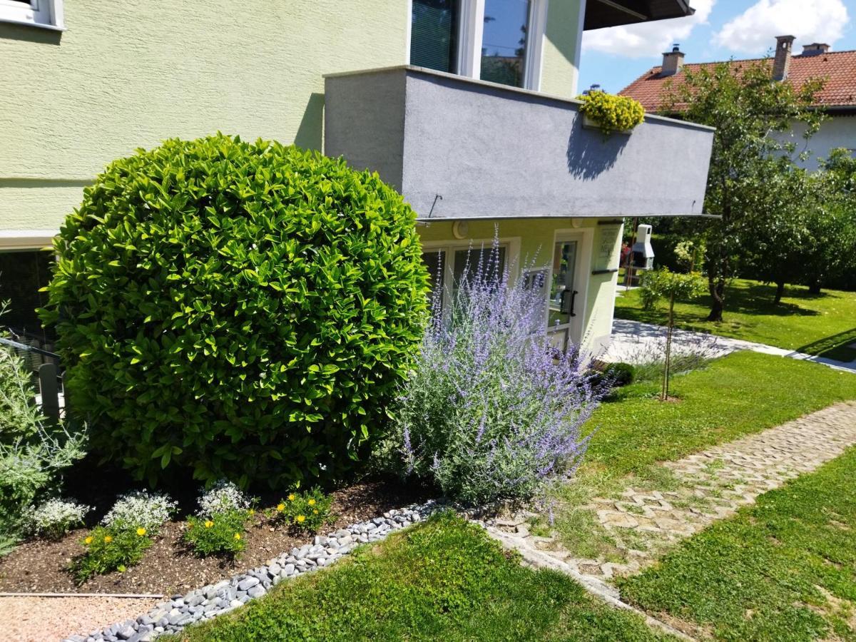 Apartma Jerman - Cerknica Eksteriør billede
