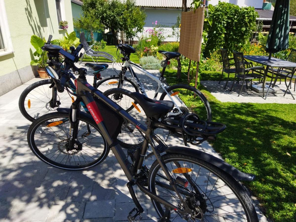 Apartma Jerman - Cerknica Eksteriør billede